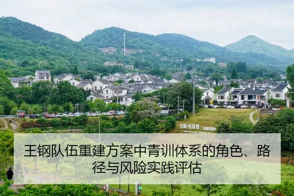 wang-gang-dui-wu-chong-jian-fang-an-zhong-qing-xun-ti-xi-de-jue-se-lu-jing-yu-feng-xian-shi-jian-ping-gu-2-215.jpg