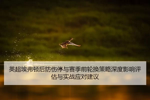 ying-chao-ai-fu-dun-hou-fang-shang-ting-yu-sai-ji-qian-lun-huan-ce-lve-shen-du-ying-xiang-ping-gu-yu-shi-zhan-ying-dui-2-261.jpg