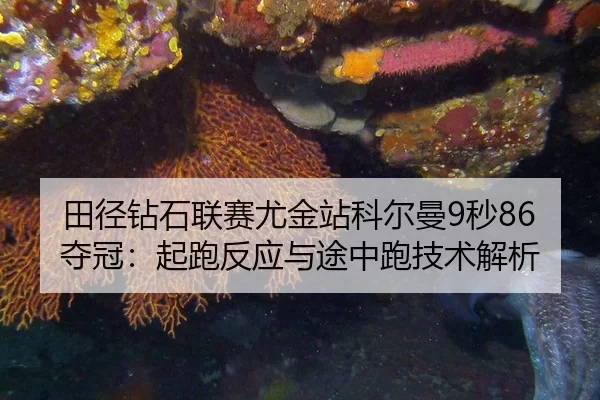 田径钻石联赛尤金站科尔曼9秒86夺冠：起跑反应与途中跑技术解析