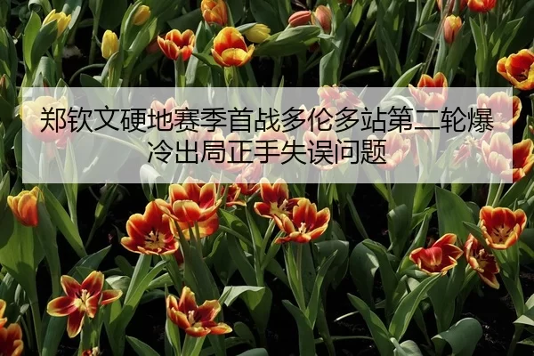 郑钦文硬地赛季首战多伦多站第二轮爆冷出局正手失误问题